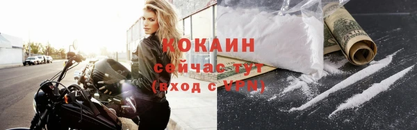 дмт Аша