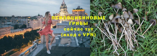 соль ск Алексеевка