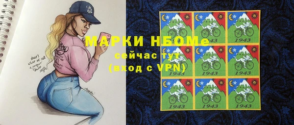 apvp Алзамай