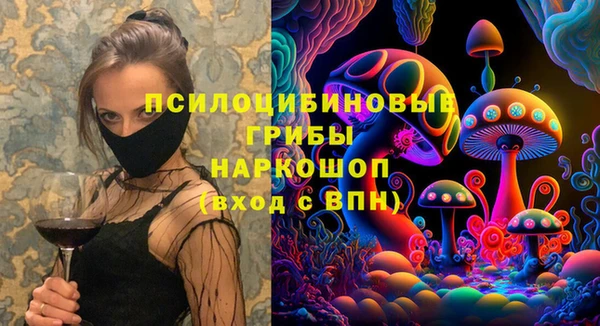 соль ск Алексеевка