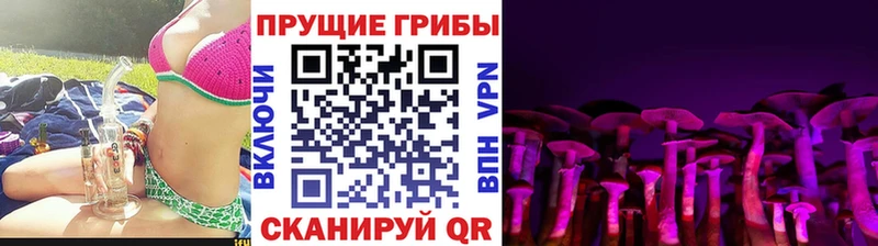 Галлюциногенные грибы ЛСД  MEGA ССЫЛКА  Брянск 